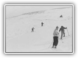 Skigruppe kurz vor dem Gipfel